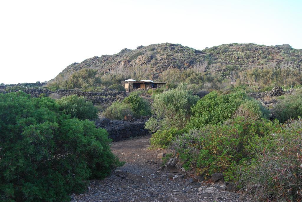 Dammusi Punta Fram Villa Madonna Delle Grazie Eksteriør billede